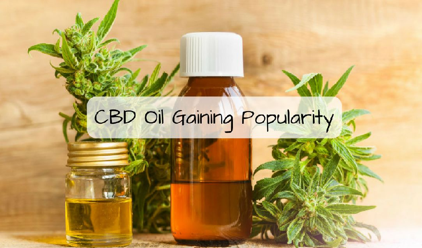 Why CBD oil is gaining popularity