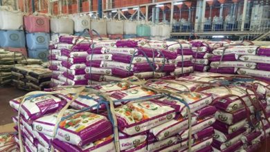 How Rice Supplier Thailand Came Into Recognition with the Help of Hongkong