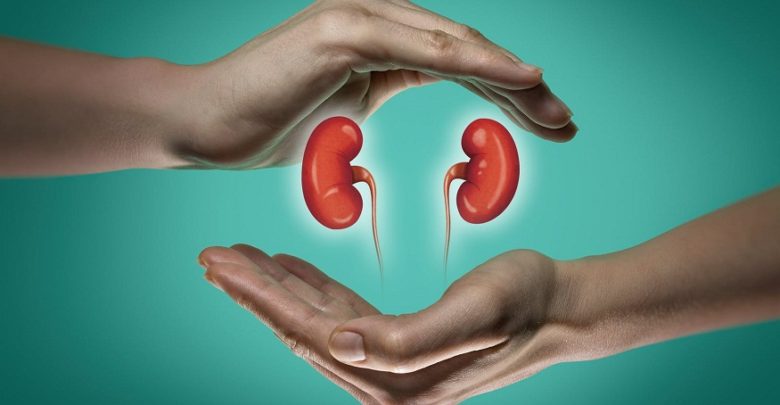 What’s Kidney failure, and why does it happen?