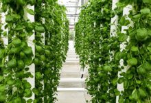 HYDROPONIC KIT, THE NEW TREND IN GROWING SYSTEMS